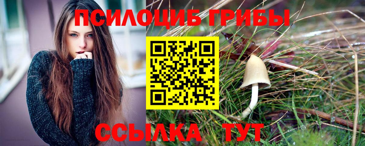 Галлюциногенные грибы Magic Shrooms  купить закладку  Братск  Вход с VPN  Галлюциногенные грибы Psilocybe 